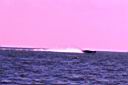 GCOffshore & 2009 Royal Purple Poker Run (201).JPG